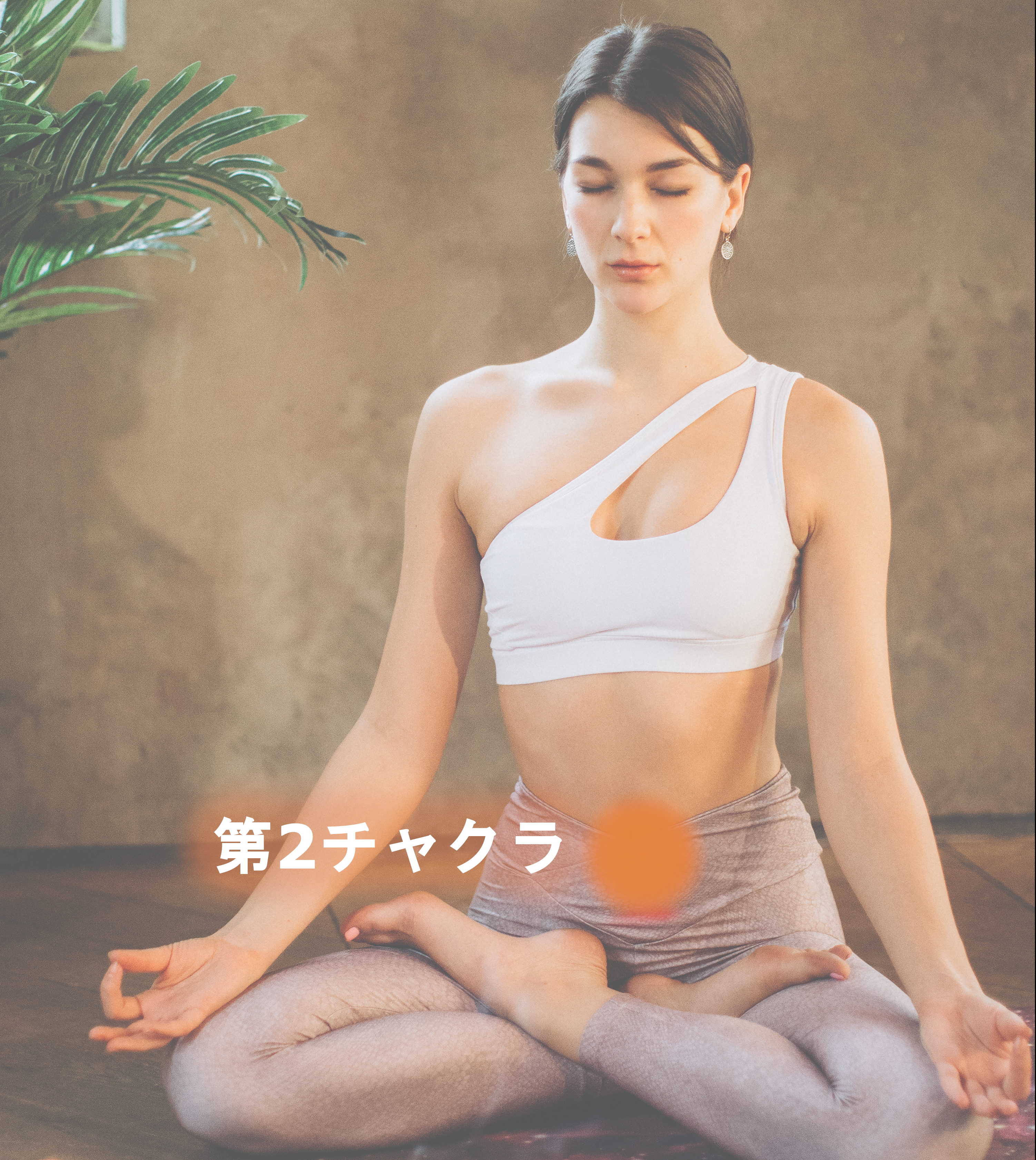 チャクラは心の内臓 場所 役割 機能 整え方を説明してみる Easteastyoga